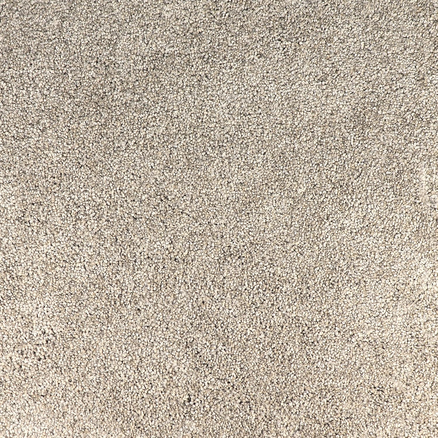 TrafficMaster Carpet Tiles